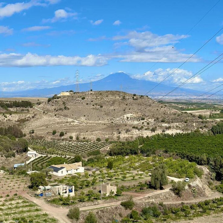 Casa Sferrazzo Vista Etna